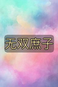 无双庶子封面