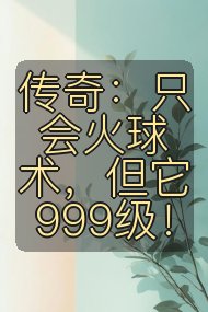 传奇：只会火球术，但它999级！封面