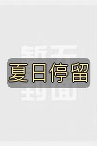 夏日停留封面